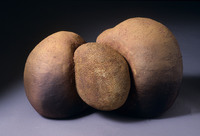 Untitled, 1989, 21"x14"x14", Ceramic