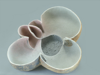 Untitled, 1988, 16"x13"x8", Ceramic